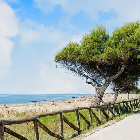 Sunny Beachfront With Pool And Apartman